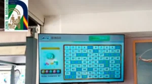 Bingo ilegal Andalucía
