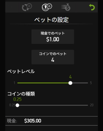ビデオポーカー 入門