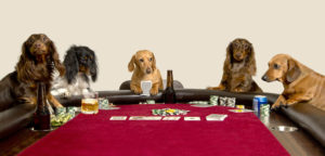 The partypoker World Championship of Amateur Poker (WCOAP) is set for Jan. 23 to Feb. 7 with $750,000 guaranteed.