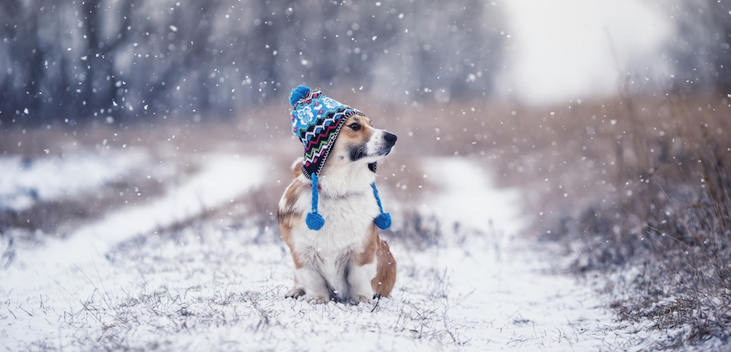 PokerStars announced the launch of the Winter Series on Monday, running from Christmas Day to Jan. 12 with $50 million guaranteed.