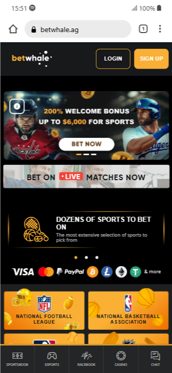 The BetWhale home page showing a big welcome bonus and various payment options available