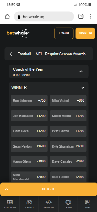 BetWhale's NFL futures