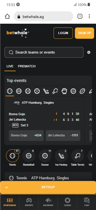 The home page of BetWhale's sportsbook