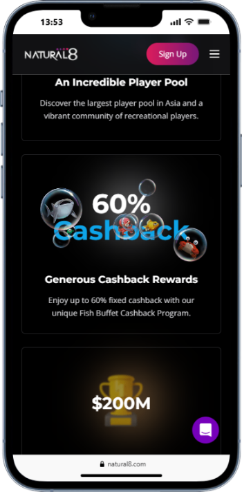 Natural8 Cashback