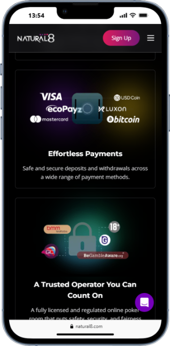 Natural8 Payment Methods