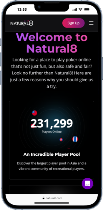 Natural8 Player Pool