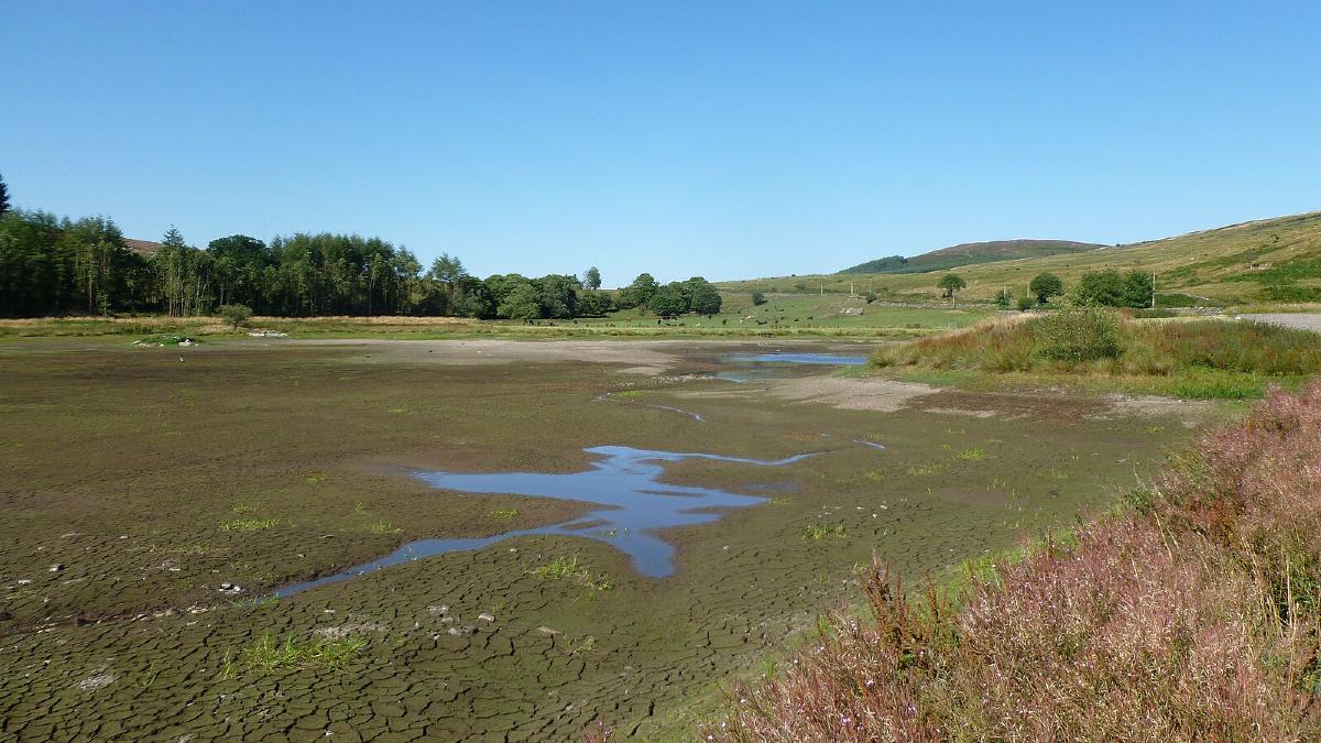 A dried up pond.
