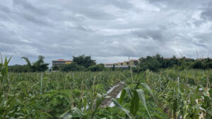 The KK Park facility, before its demolition, seen from a distance across crop fields.