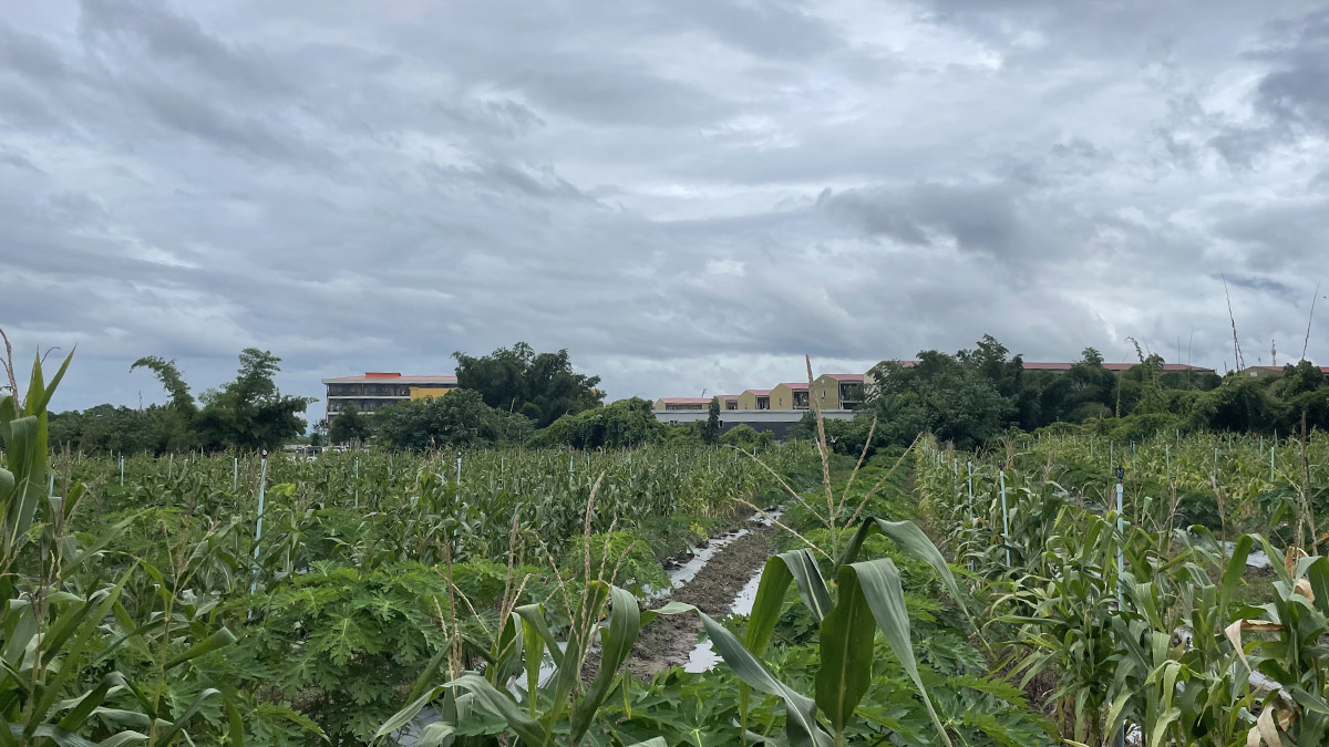 The KK Park facility, before its demolition, seen from a distance across crop fields.