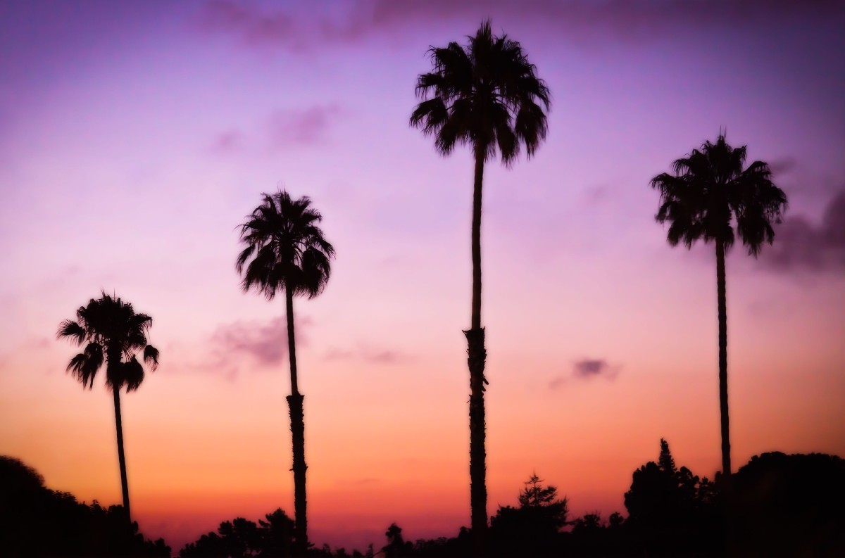 A California sunset