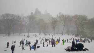 New York's Central Park in the snow.
