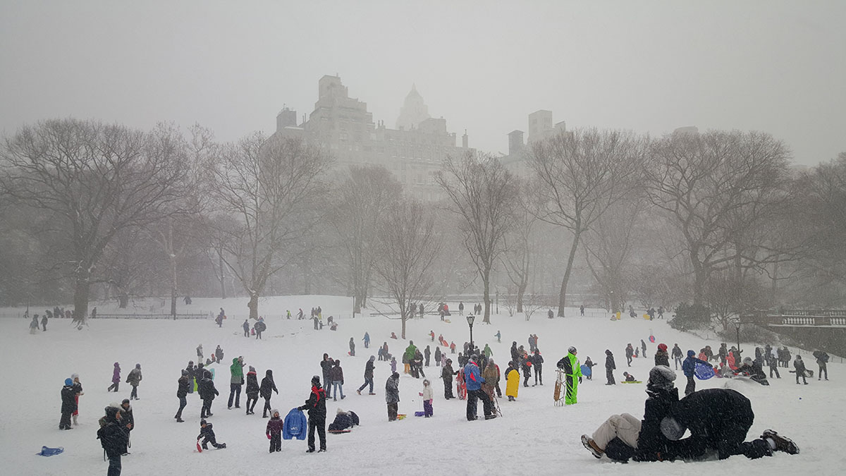 New York's Central Park in the snow.