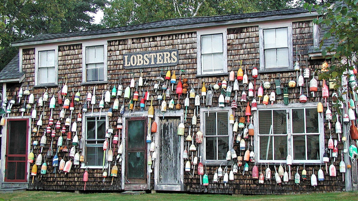 An old house in Maine, covered with buoys and a sign reading "LOBSTERS"