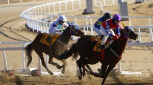 A horse race