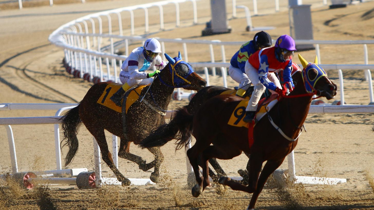 A horse race