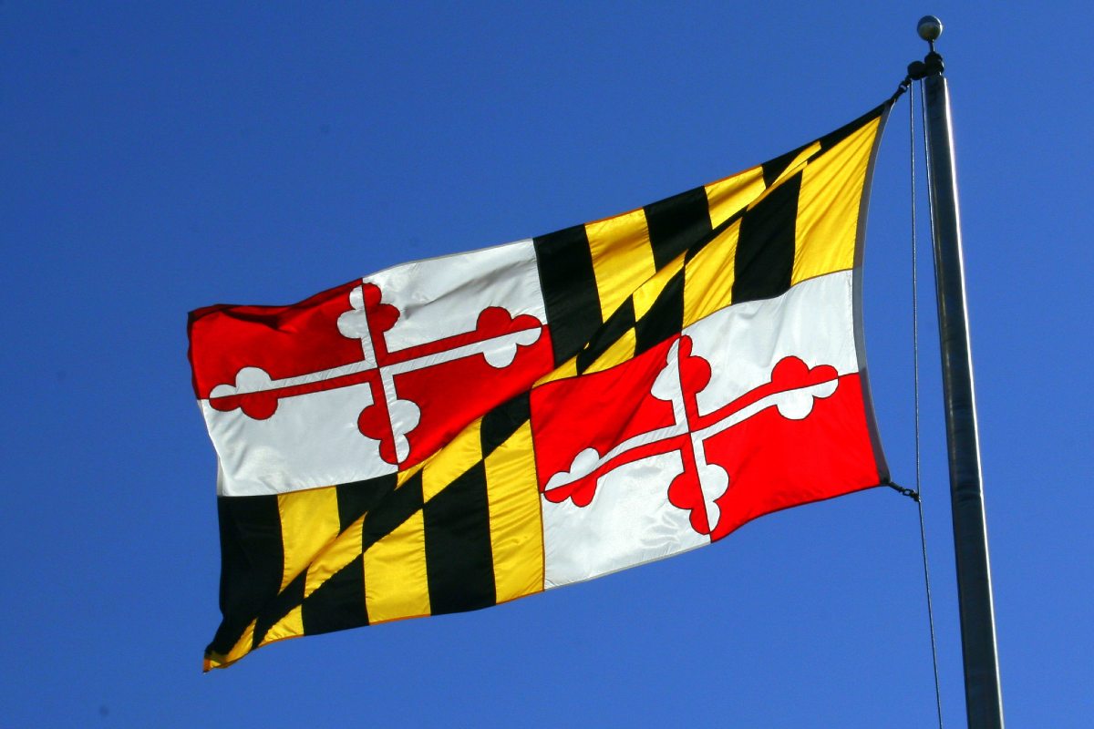 The Maryland state flag