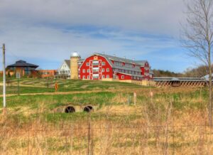 A farm in Wisconsin