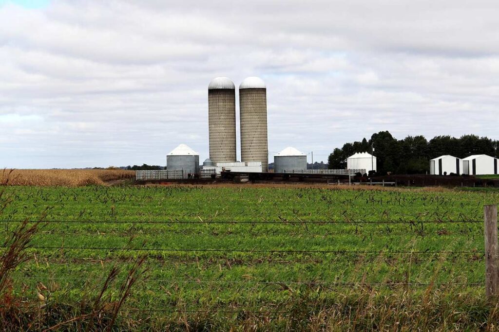 An Iowa farm
