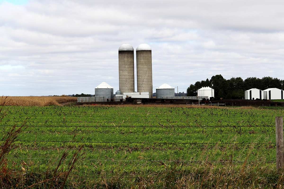 An Iowa farm