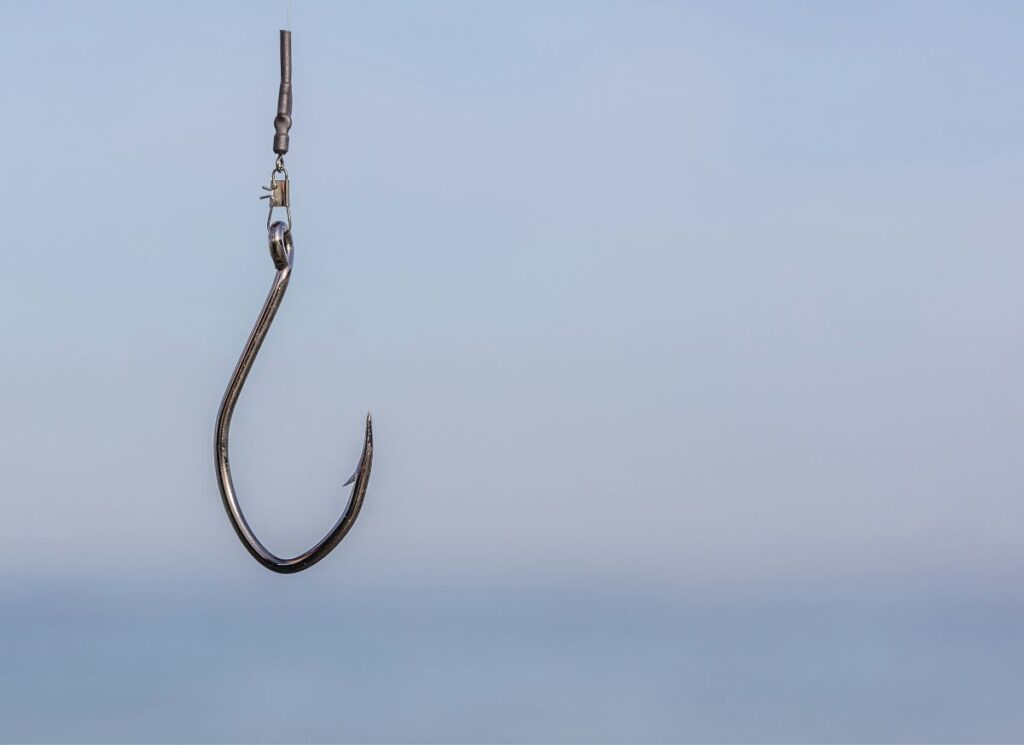 A fishing hook