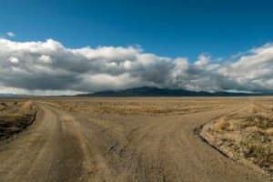 Fork in the road