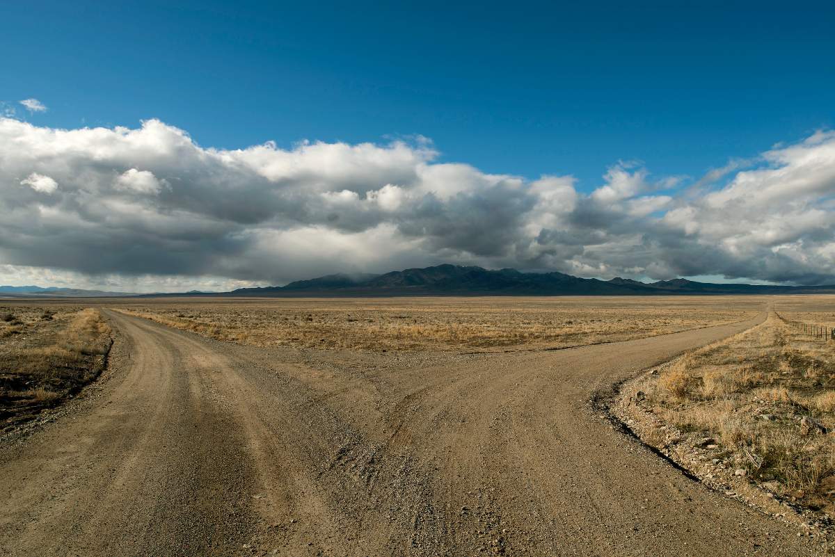 Fork in the road